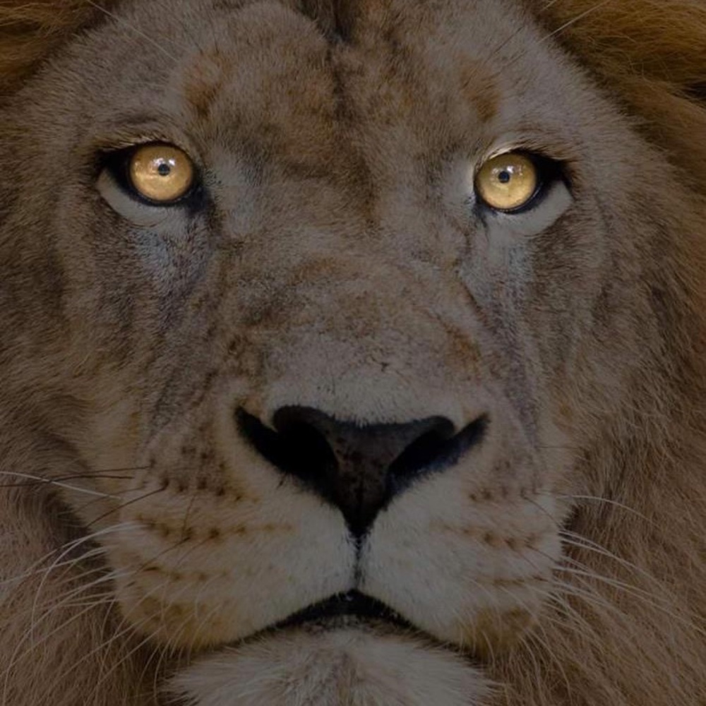 Meet your Posher, Jovana